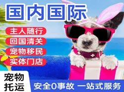 大连周水子机场托运国际宠物托运 【国